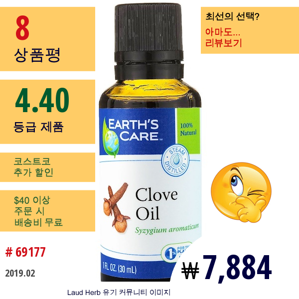 Earths Care, 클로브 오일, 1 Fl Oz (30 Ml)  