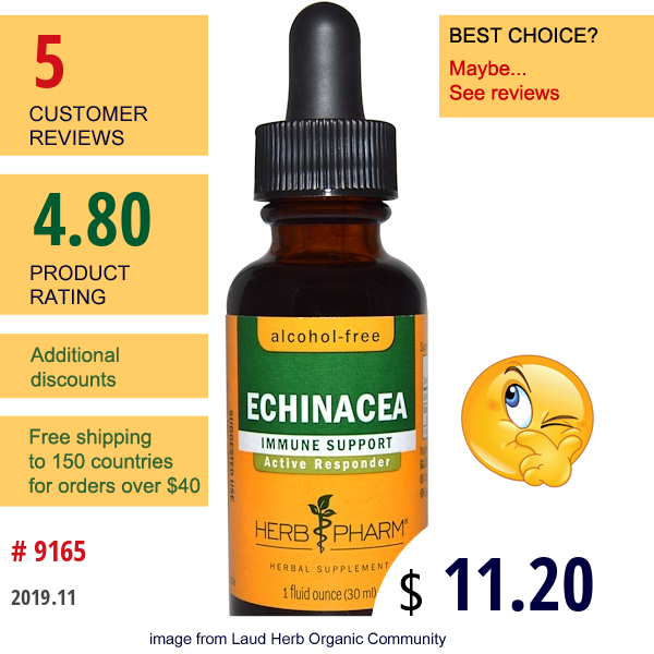 Herb Pharm, Echinacea, Alcohol-Free, 1 Fl Oz (29.6 Ml)  