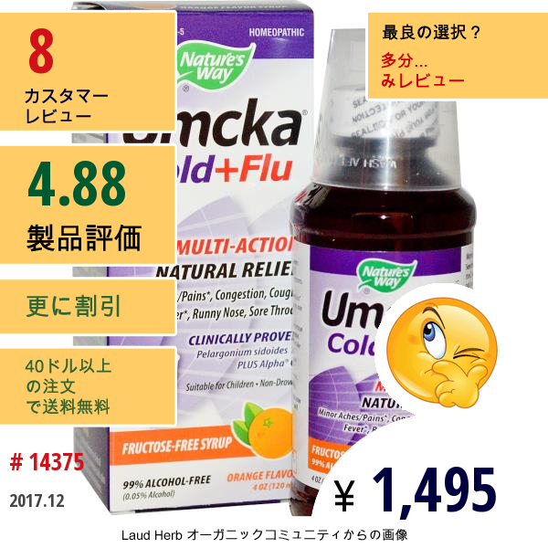 Natures Way, ウムッカ、風邪+インフル、果糖なしのシロップ、オレンジフレーバー、4 Oz (120 Ml)  