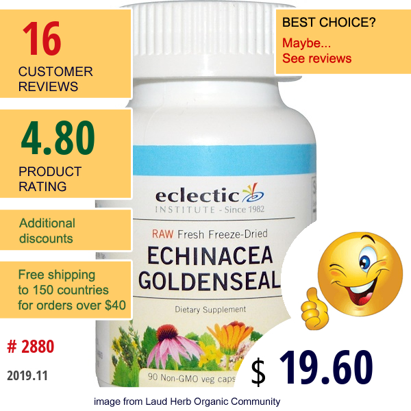 Eclectic Institute, Raw, Echinacea Goldenseal, 350 Mg, 90 Non-Gmo Veggie Caps  