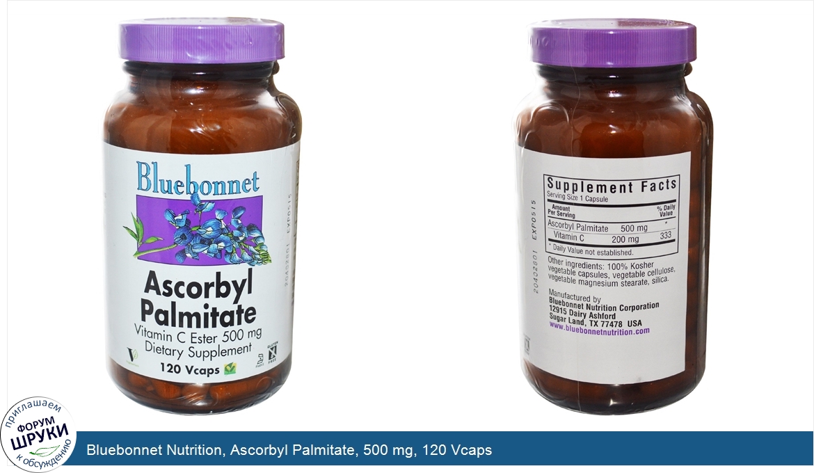 Bluebonnet_Nutrition__Ascorbyl_Palmitate__500_mg__120_Vcaps.jpg