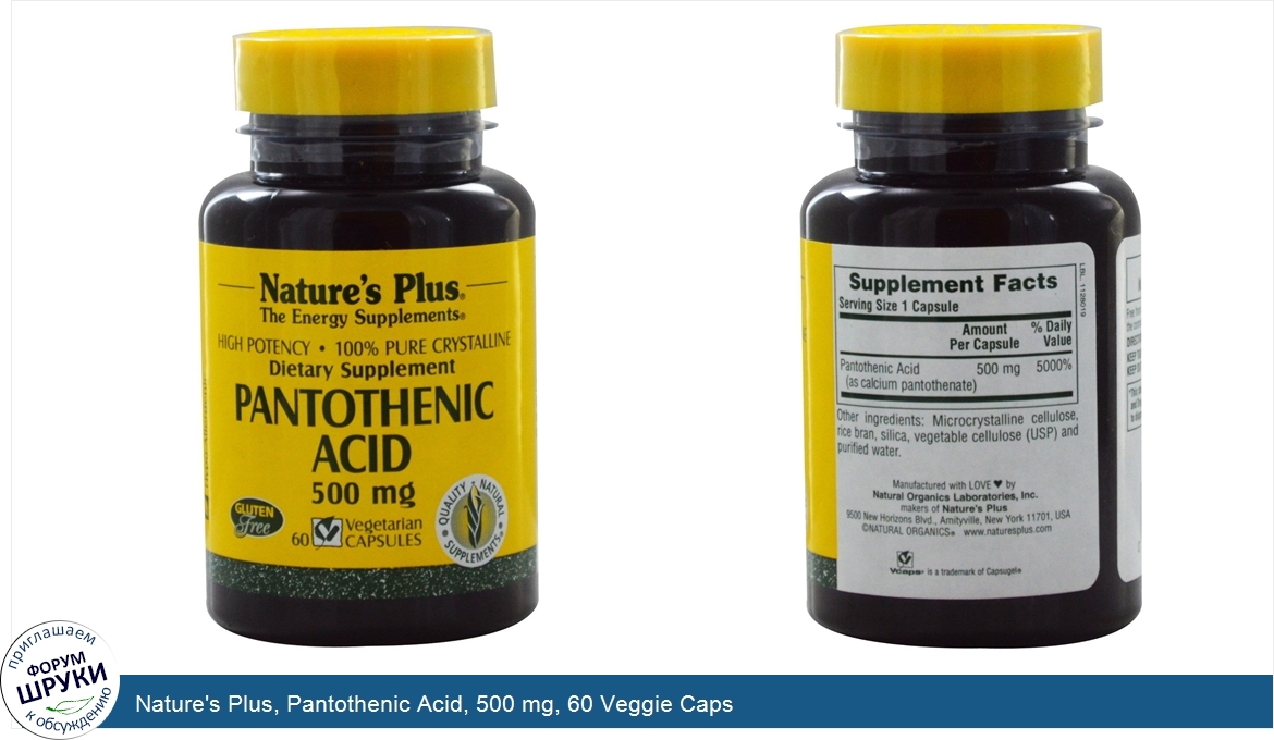 Nature_s_Plus__Pantothenic_Acid__500_mg__60_Veggie_Caps.jpg