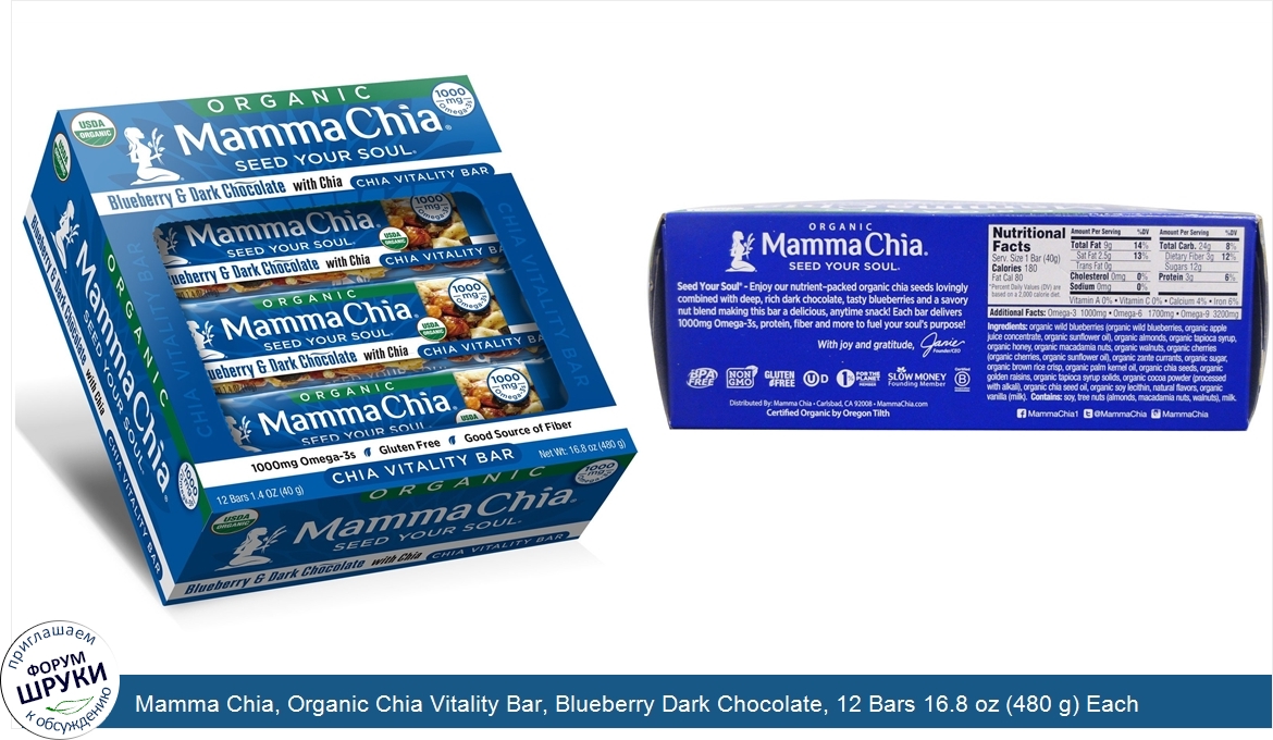 Mamma_Chia__Organic_Chia_Vitality_Bar__Blueberry_Dark_Chocolate__12_Bars_16.8_oz__480_g__Each.jpg