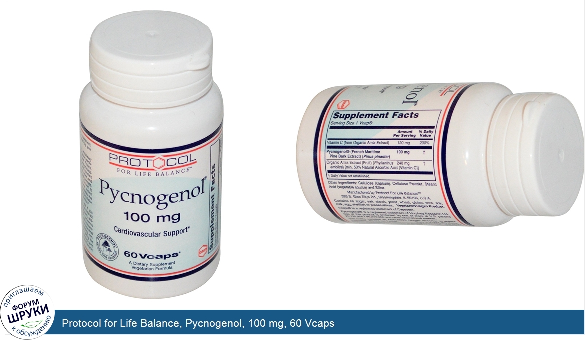 Protocol_for_Life_Balance__Pycnogenol__100_mg__60_Vcaps.jpg