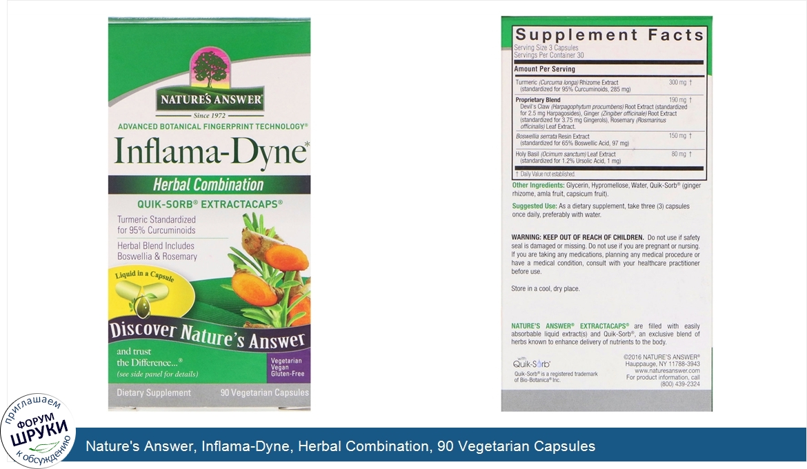 Nature_s_Answer__Inflama_Dyne__Herbal_Combination__90_Vegetarian_Capsules.jpg