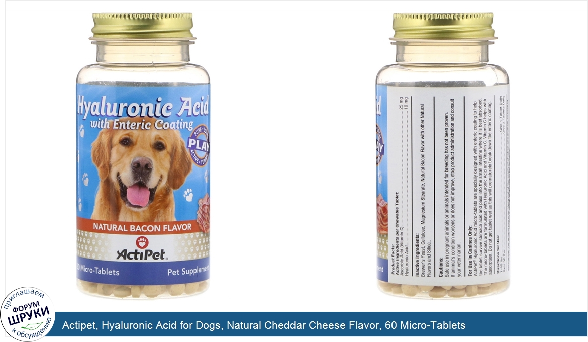 Actipet__Hyaluronic_Acid_for_Dogs__Natural_Cheddar_Cheese_Flavor__60_Micro_Tablets.jpg