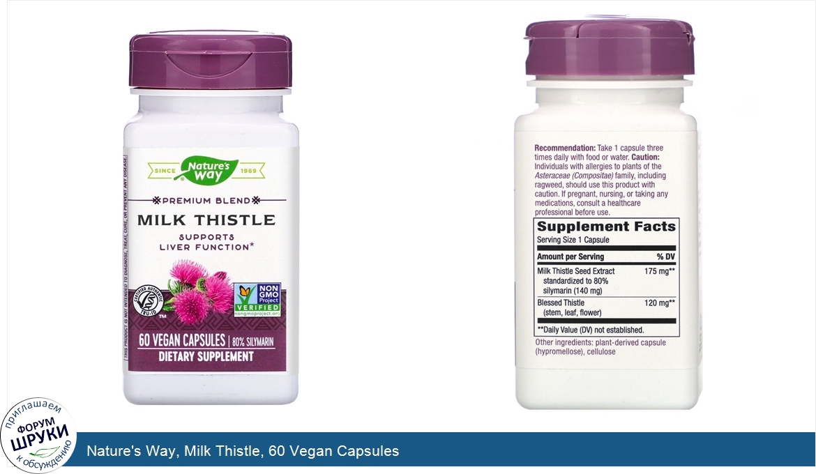 Nature s way go. Milk Thistle Silymarin. Mason natural, standardized extract Milk Thistle Silymarin 60 Capsules. Силимарин Милк тхистиле. Силимарин немецкий МД.