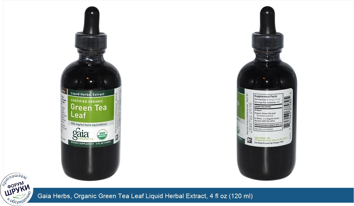 Gaia_Herbs__Organic_Green_Tea_Leaf_Liquid_Herbal_Extract__4_fl_oz__120_ml_.jpg