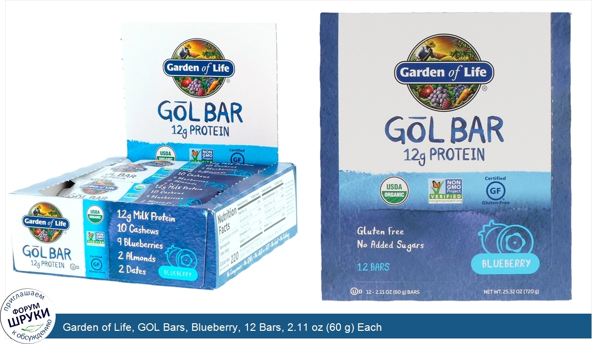 Garden_of_Life__GOL_Bars__Blueberry__12_Bars__2.11_oz__60_g__Each.jpg