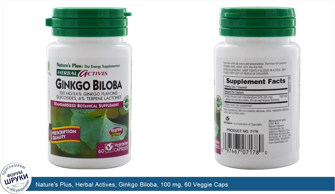 Nature_s_Plus__Herbal_Actives__Ginkgo_Biloba__100_mg__60_Veggie_Caps.jpg