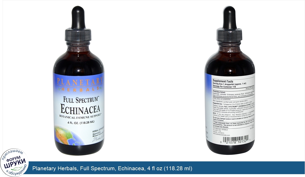 Planetary_Herbals__Full_Spectrum__Echinacea__4_fl_oz__118.28_ml_.jpg