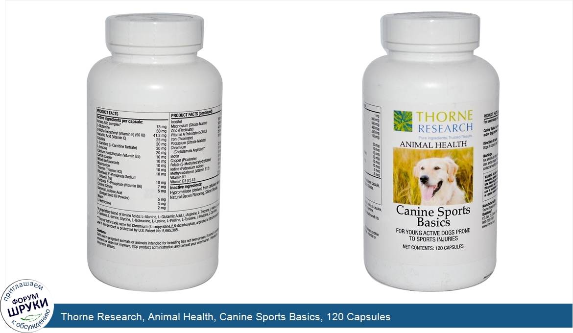 Thorne_Research__Animal_Health__Canine_Sports_Basics__120_Capsules.jpg