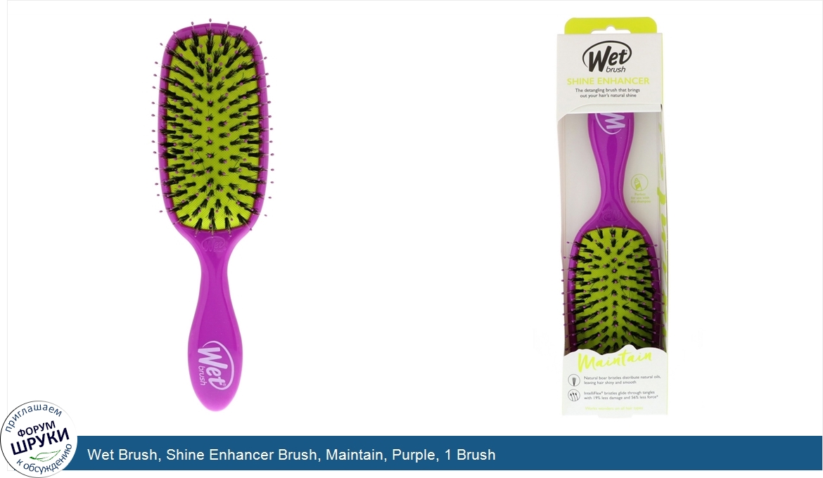 Wet_Brush__Shine_Enhancer_Brush__Maintain__Purple__1_Brush.jpg