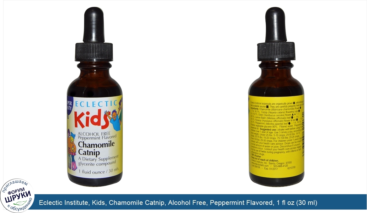 Eclectic_Institute__Kids__Chamomile_Catnip__Alcohol_Free__Peppermint_Flavored__1_fl_oz__30_ml_.jpg