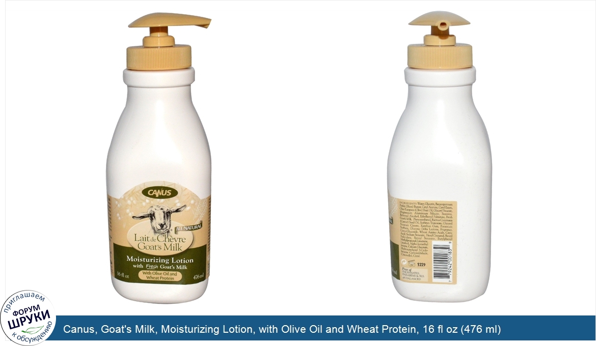 Canus__Goat_s_Milk__Moisturizing_Lotion__with_Olive_Oil_and_Wheat_Protein__16_fl_oz__476_ml_.jpg