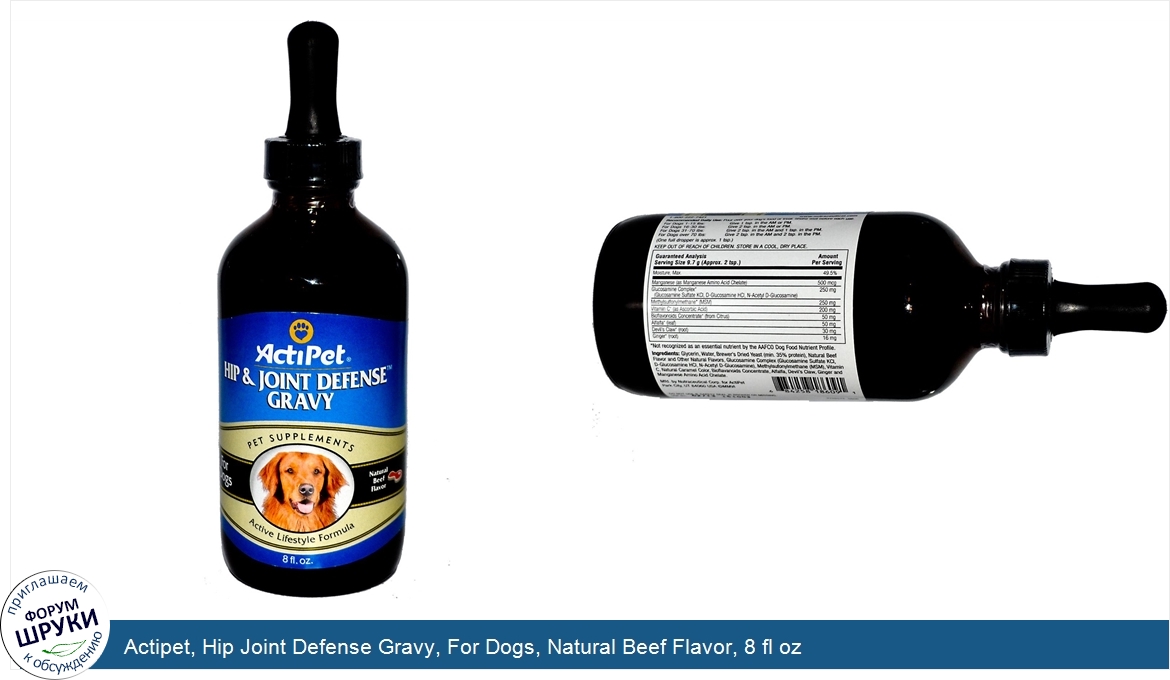 Actipet__Hip_Joint_Defense_Gravy__For_Dogs__Natural_Beef_Flavor__8_fl_oz.jpg