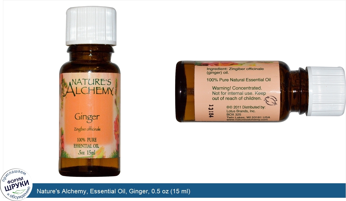 Nature_s_Alchemy__Essential_Oil__Ginger__0.5_oz__15_ml_.jpg