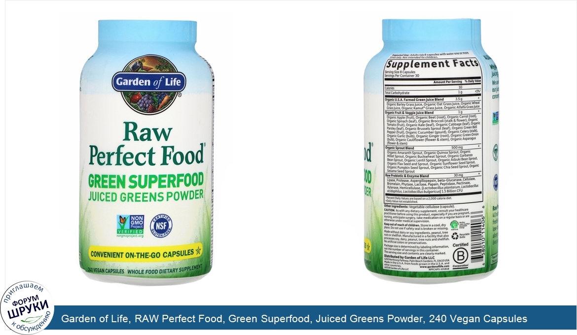 Garden_of_Life__RAW_Perfect_Food__Green_Superfood__Juiced_Greens_Powder__240_Vegan_Capsules.jpg