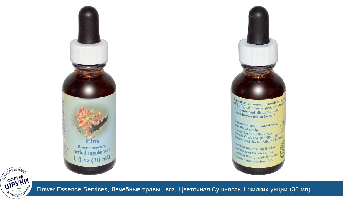 Flower_Essence_Services__Лечебные_травы___вяз__Цветочная_Сущность_1_жидких_унции__30_мл_.jpg