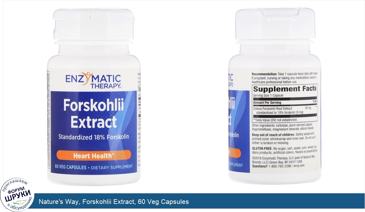 Nature_s_Way__Forskohlii_Extract__60_Veg_Capsules.jpg