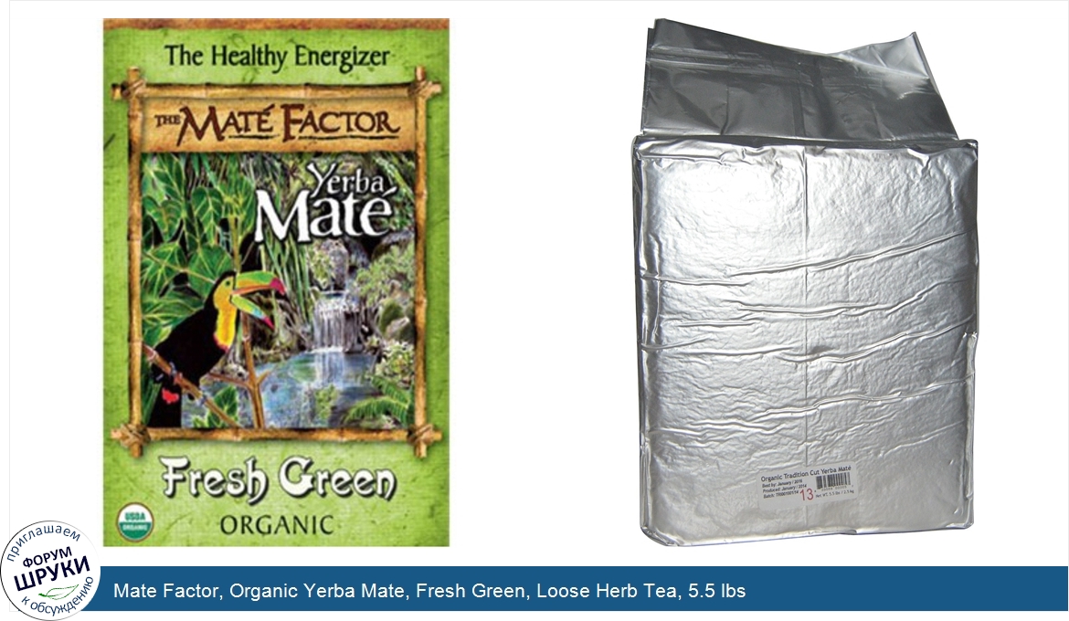 Mate_Factor__Organic_Yerba_Mate__Fresh_Green__Loose_Herb_Tea__5.5_lbs.jpg