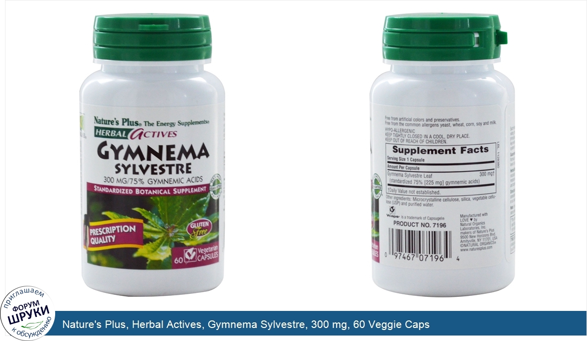 Nature_s_Plus__Herbal_Actives__Gymnema_Sylvestre__300_mg__60_Veggie_Caps.jpg