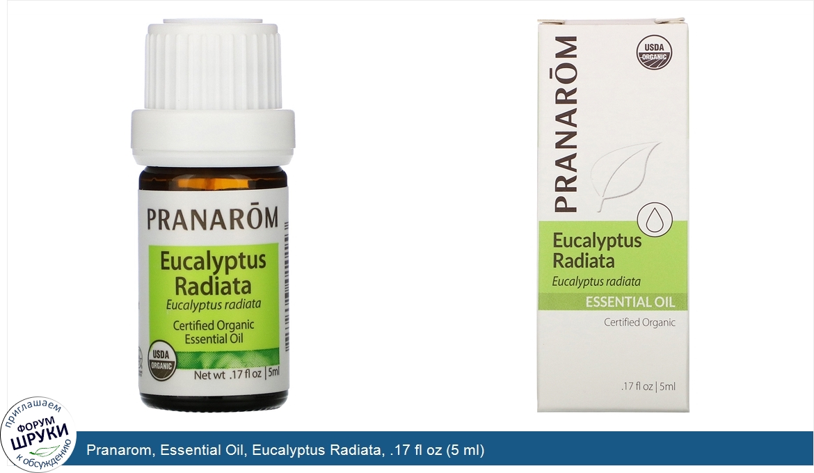 Pranarom__Essential_Oil__Eucalyptus_Radiata__.17_fl_oz__5_ml_.jpg