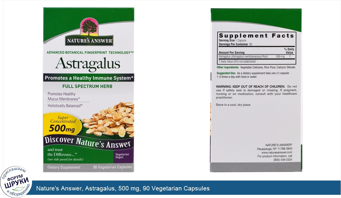 Nature_s_Answer__Astragalus__500_mg__90_Vegetarian_Capsules.jpg