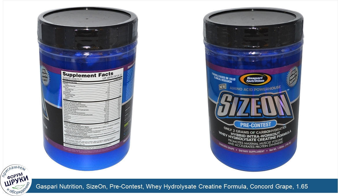 Gaspari_Nutrition__SizeOn__Pre_Contest__Whey_Hydrolysate_Creatine_Formula__Concord_Grape__1.65...jpg