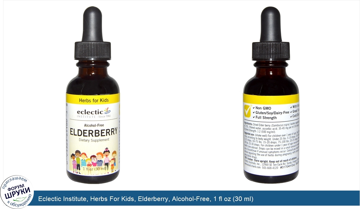 Eclectic_Institute__Herbs_For_Kids__Elderberry__Alcohol_Free__1_fl_oz__30_ml_.jpg