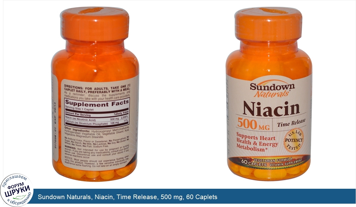 Sundown_Naturals__Niacin__Time_Release__500_mg__60_Caplets.jpg