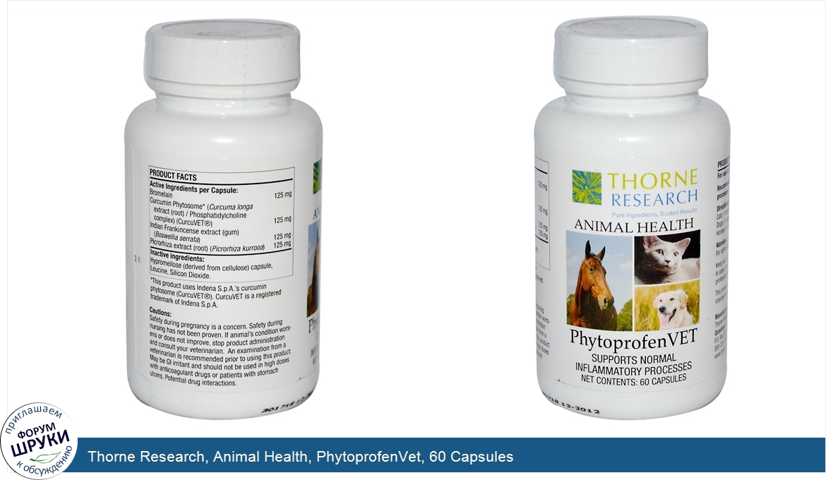 Thorne_Research__Animal_Health__PhytoprofenVet__60_Capsules.jpg