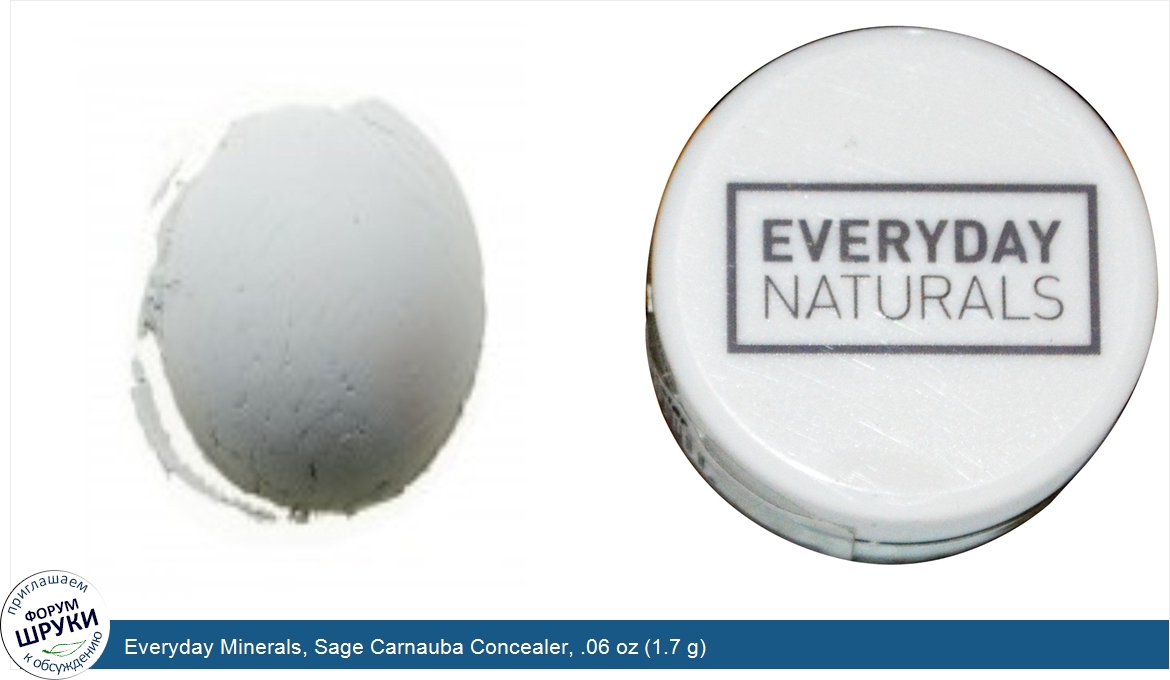 Everyday_Minerals__Sage_Carnauba_Concealer__.06_oz__1.7_g_.jpg