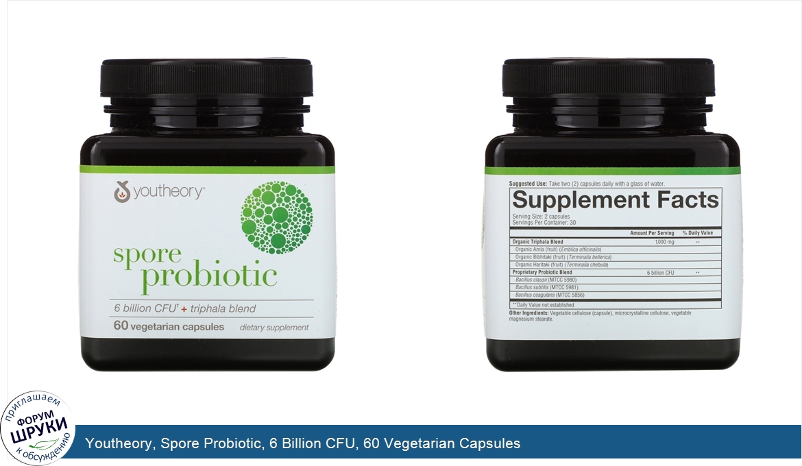 Youtheory__Spore_Probiotic__6_Billion_CFU__60_Vegetarian_Capsules.jpg