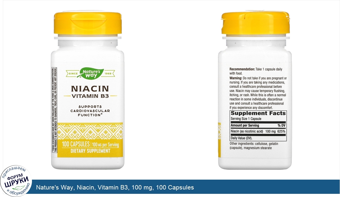 Nature_s_Way__Niacin__Vitamin_B3__100_mg__100_Capsules.jpg