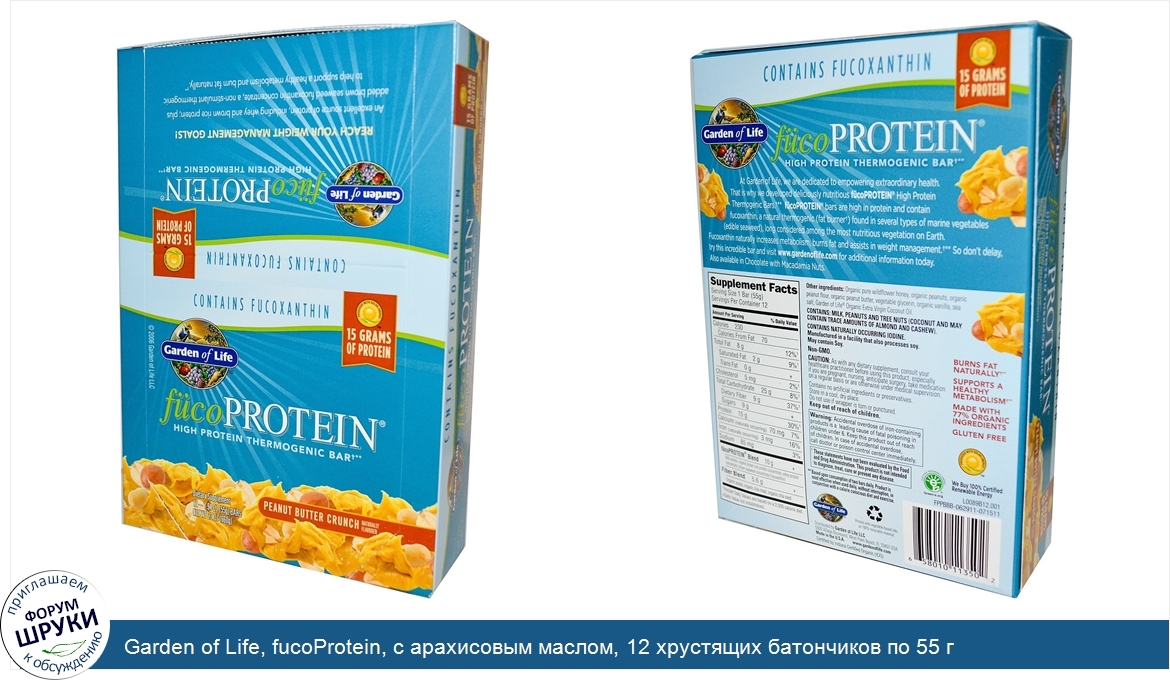 Garden_of_Life__fucoProtein__с_арахисовым_маслом__12_хрустящих_батончиков_по_55_г.jpg