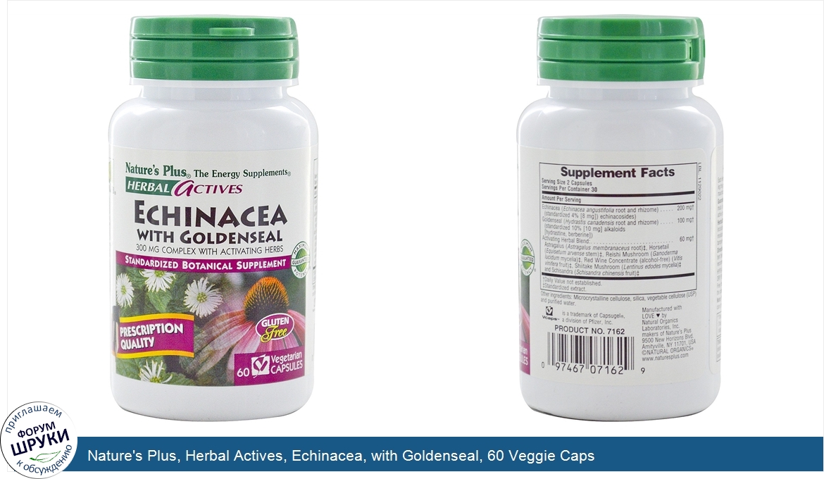 Nature_s_Plus__Herbal_Actives__Echinacea__with_Goldenseal__60_Veggie_Caps.jpg