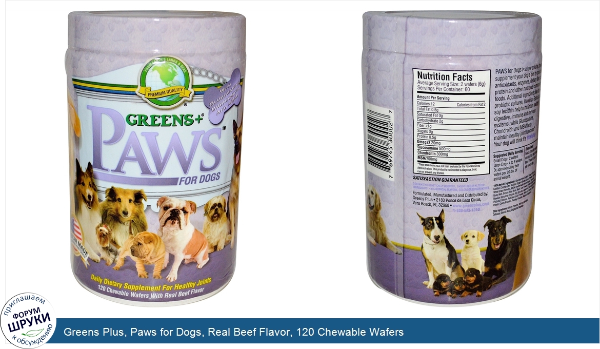 Greens_Plus__Paws_for_Dogs__Real_Beef_Flavor__120_Chewable_Wafers.jpg