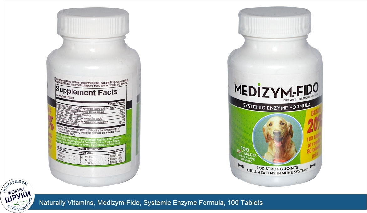 Naturally_Vitamins__Medizym_Fido__Systemic_Enzyme_Formula__100_Tablets.jpg