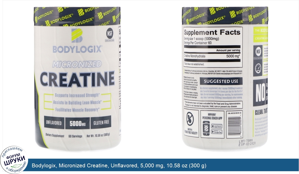 Bodylogix__Micronized_Creatine__Unflavored__5_000_mg__10.58_oz__300_g_.jpg