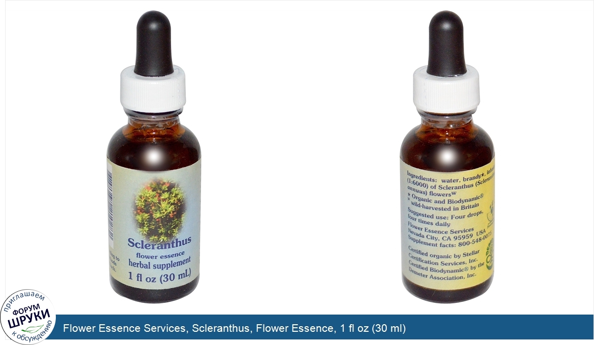 Flower_Essence_Services__Scleranthus__Flower_Essence__1_fl_oz__30_ml_.jpg