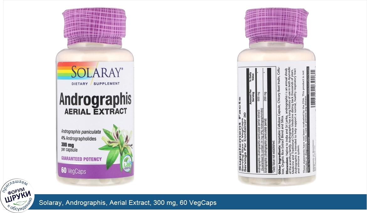 Solaray__Andrographis__Aerial_Extract__300_mg__60_VegCaps.jpg