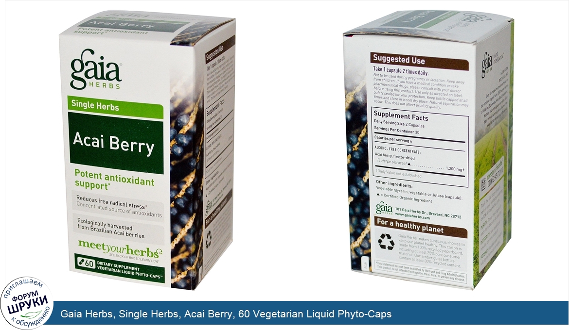 Gaia_Herbs__Single_Herbs__Acai_Berry__60_Vegetarian_Liquid_Phyto_Caps.jpg