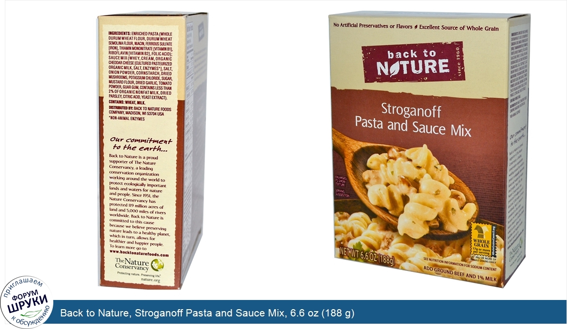 Back_to_Nature__Stroganoff_Pasta_and_Sauce_Mix__6.6_oz__188_g_.jpg