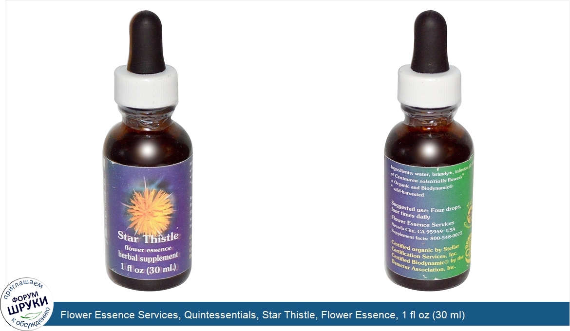 Flower_Essence_Services__Quintessentials__Star_Thistle__Flower_Essence__1_fl_oz__30_ml_.jpg