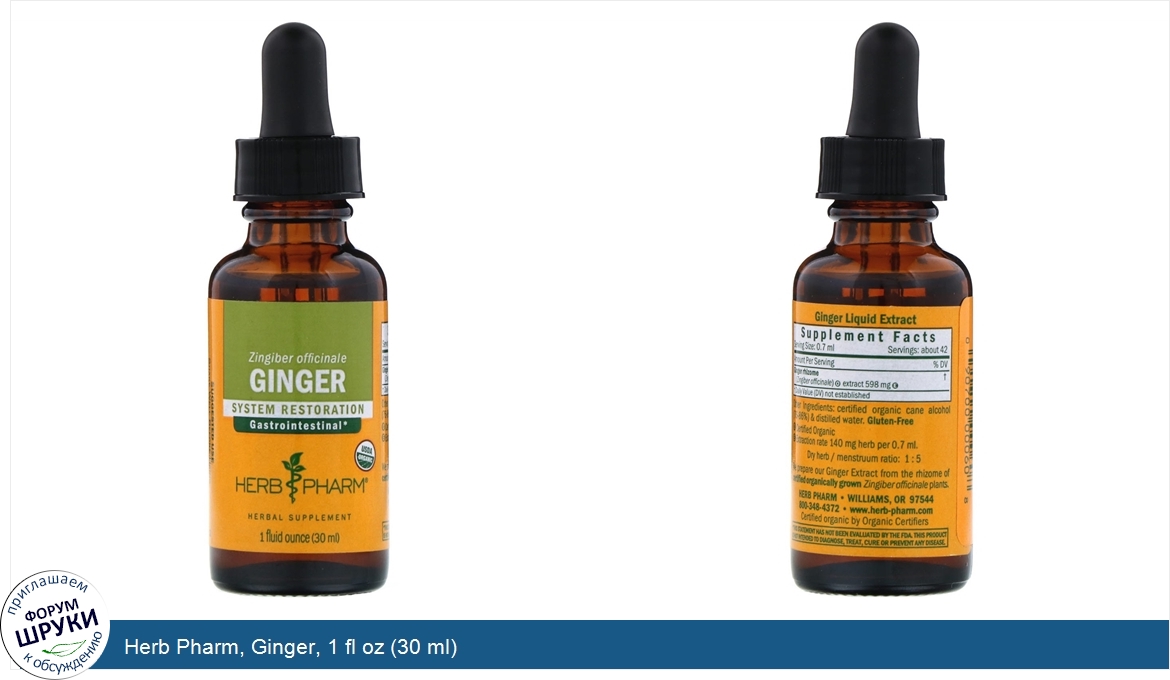 Herb_Pharm__Ginger__1_fl_oz__30_ml_.jpg