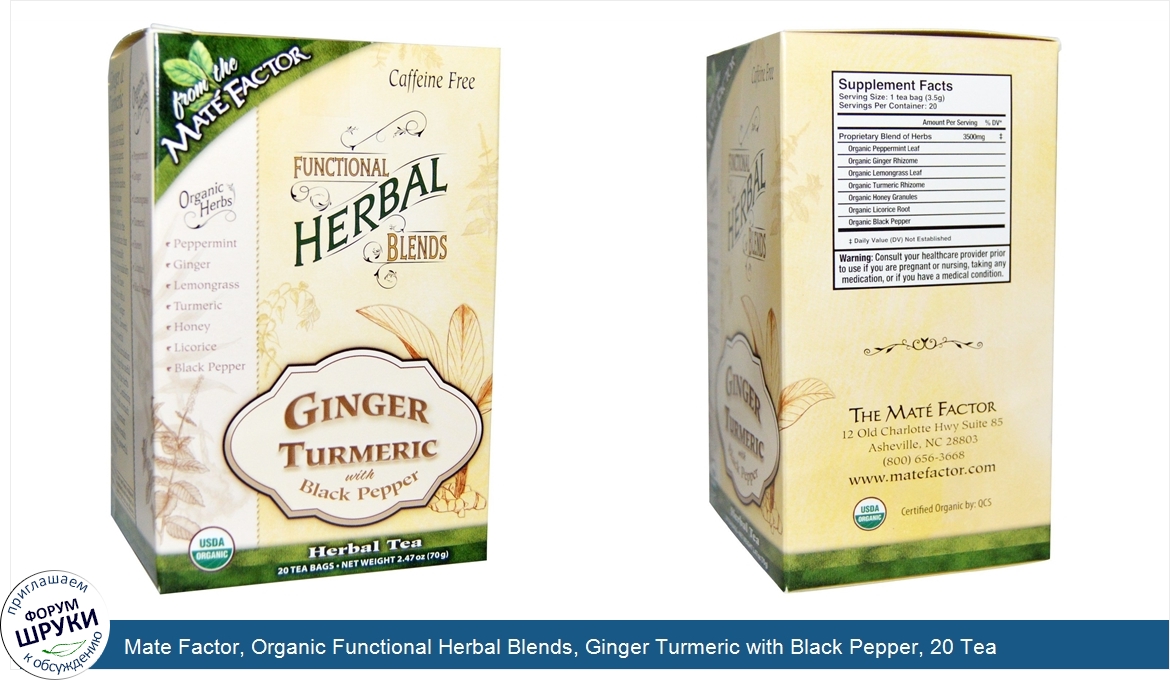 Mate_Factor__Organic_Functional_Herbal_Blends__Ginger_Turmeric_with_Black_Pepper__20_Tea_Bags_...jpg