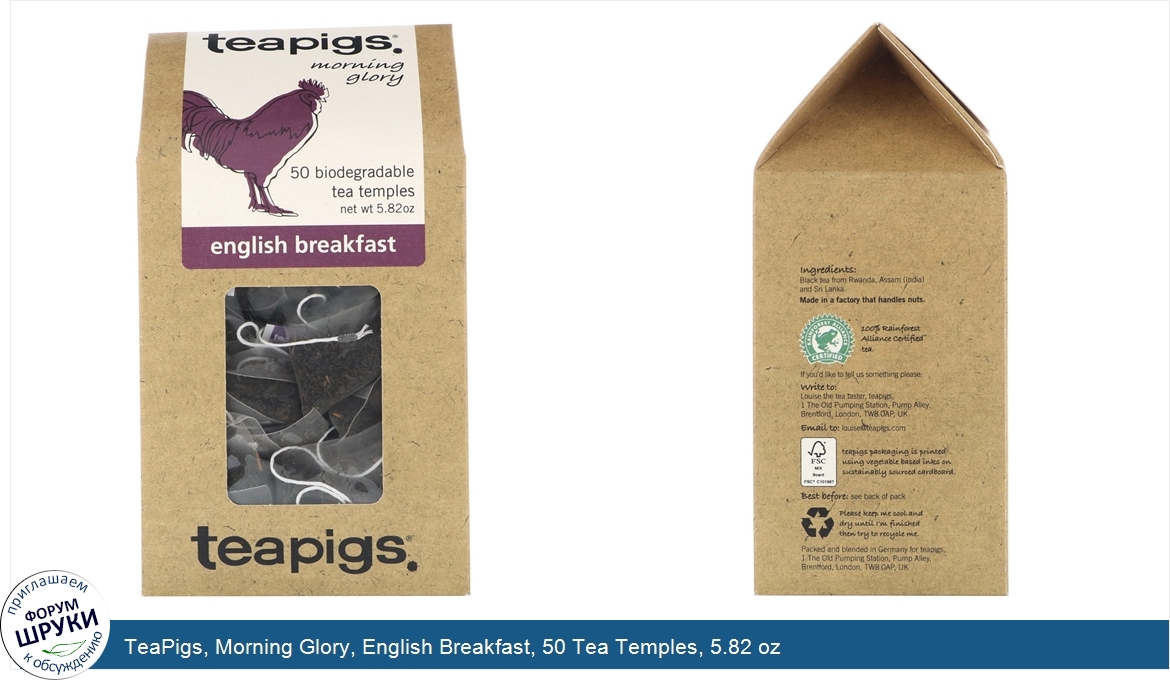 TeaPigs__Morning_Glory__English_Breakfast__50_Tea_Temples__5.82_oz.jpg