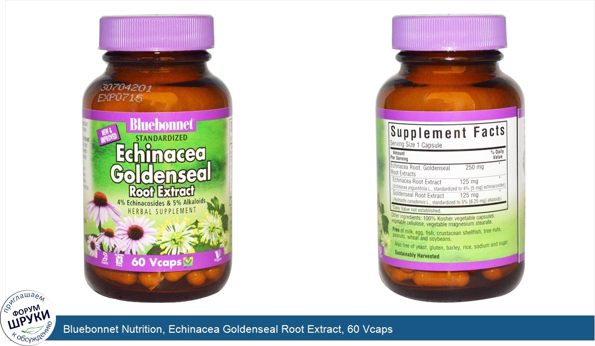 Bluebonnet_Nutrition__Echinacea_Goldenseal_Root_Extract__60_Vcaps.jpg