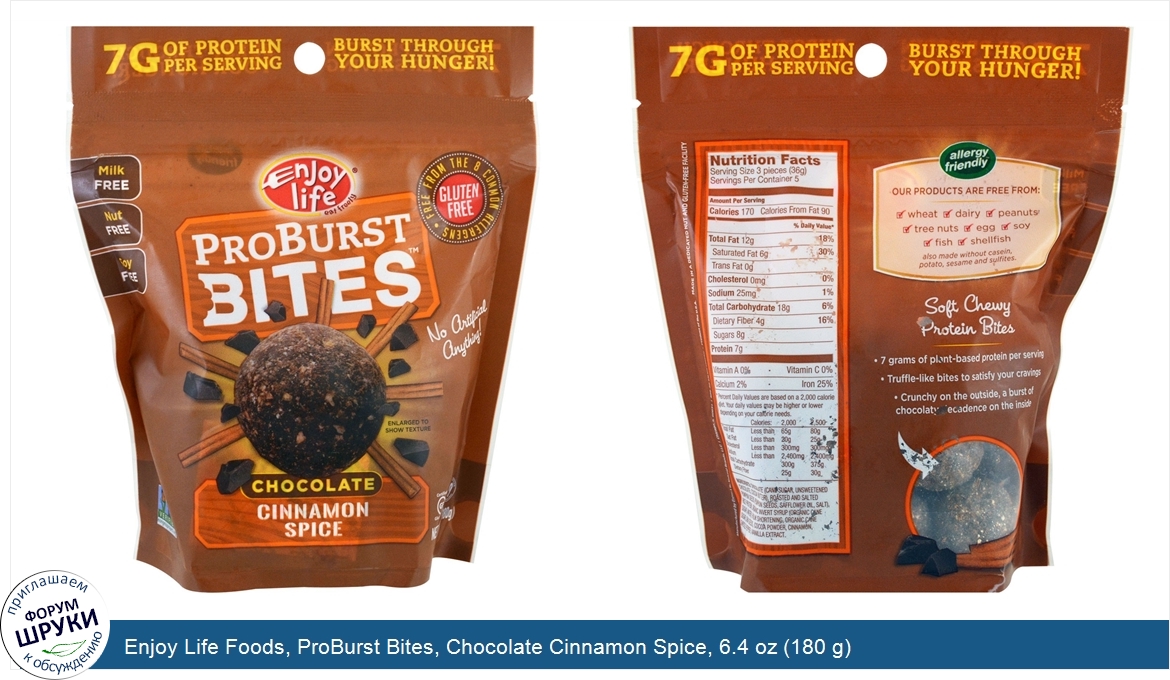 Enjoy_Life_Foods__ProBurst_Bites__Chocolate_Cinnamon_Spice__6.4_oz__180_g_.jpg